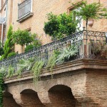 piante da terrazzo